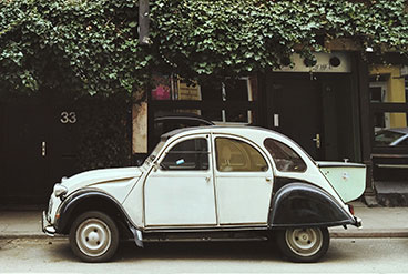 Auto / Home Insurance